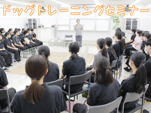 ☆ドッグトレーニングセミナー☆